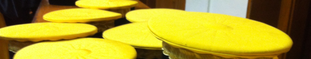 cropped-IMG_5407.jpg